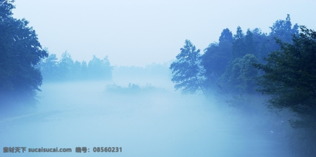 晨雾 清晨 雾 蓝调 树 仙境 自然景观 自然风景