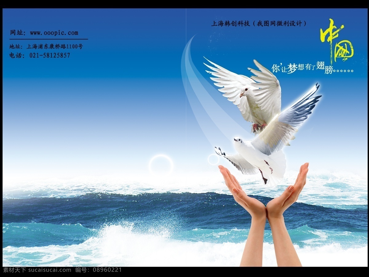 封面设计 微利设计 学校教育 画册设计 腾飞中国 梦想 翅膀 画册 样本 书籍 杂志 报纸 教育画册封面