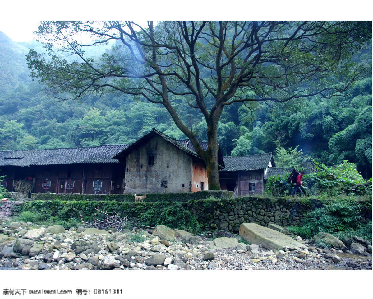 深山人家 深山 绿树 房屋 土房 瓦房 大树 旅游摄影 青山 人文景观 摄影图库