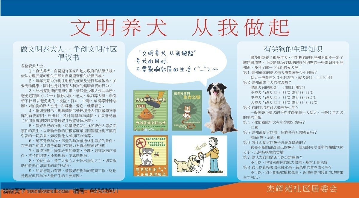 文明养犬 养犬 文明社区 养犬知识 犬类知识 矢量