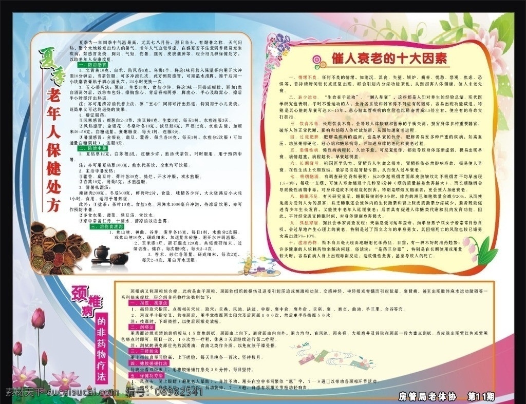 老年 体协 宣传栏 老协宣传栏 老年人 夏季养生 健康宣传栏 健康教育 健康 科普宣传栏 科普 科普知识 单位宣传栏 绿色宣传栏 保健 养生 中老年人 矢量