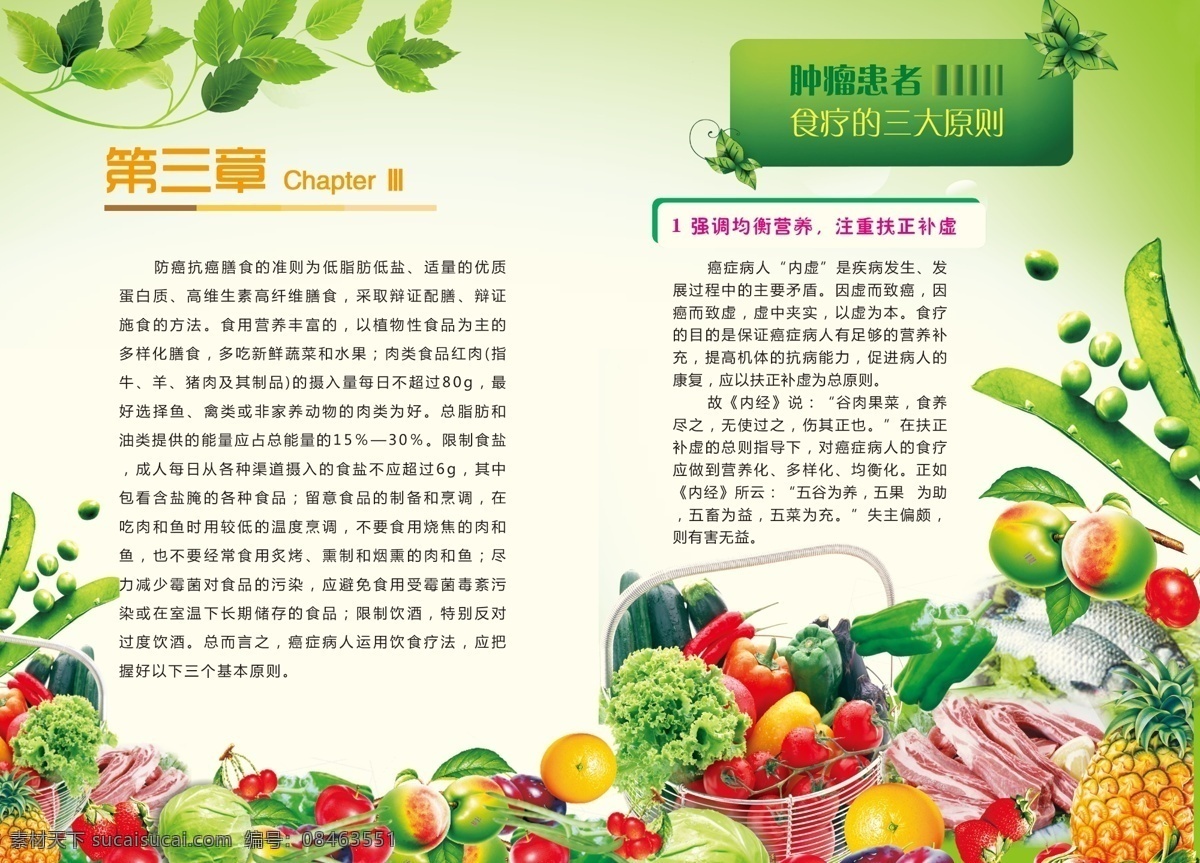 广告设计模板 画册 画册模板下载 画册设计 画册素材下载 树叶 水果 源文件 养生 食谱 模板下载 养生食谱 其他画册封面