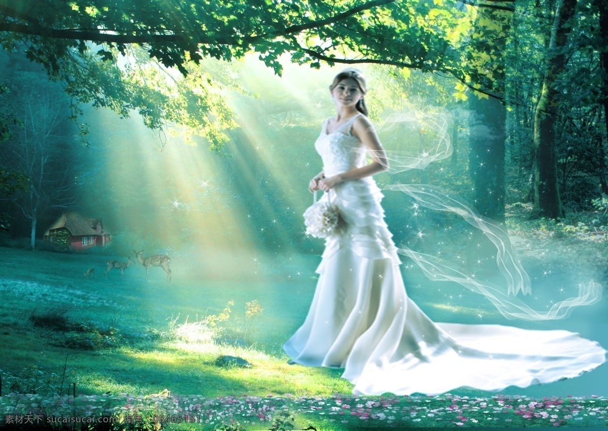 绿野仙踪 森林 丝带 婚纱 鲜花 阳光 分层 源文件