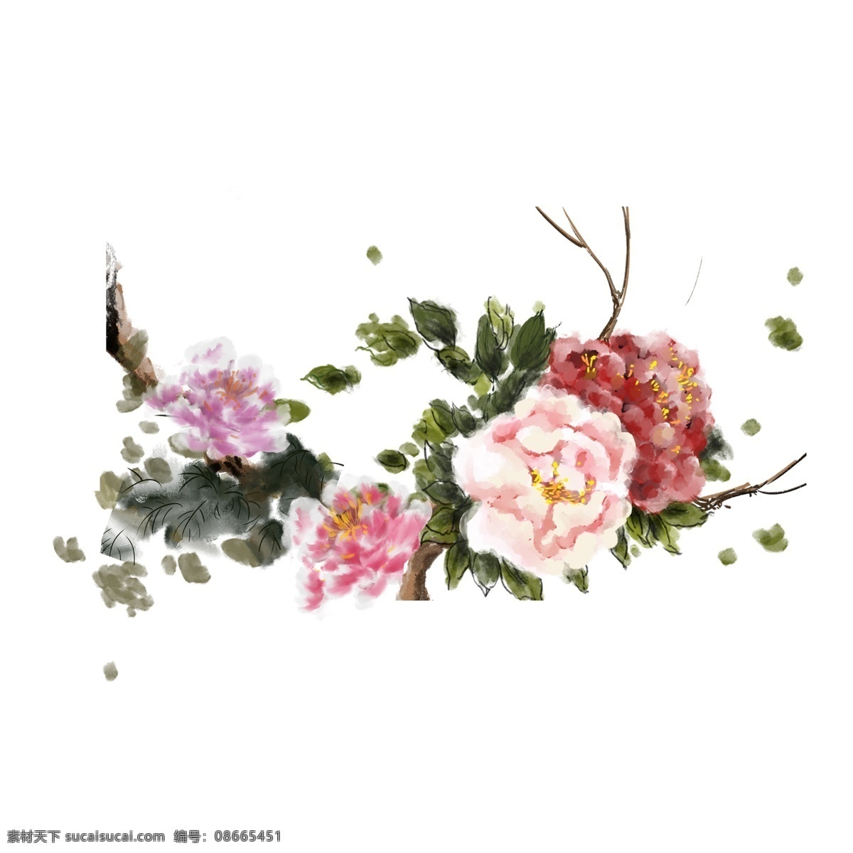手绘 彩色 牡丹 卡通 元素 绿叶 花朵