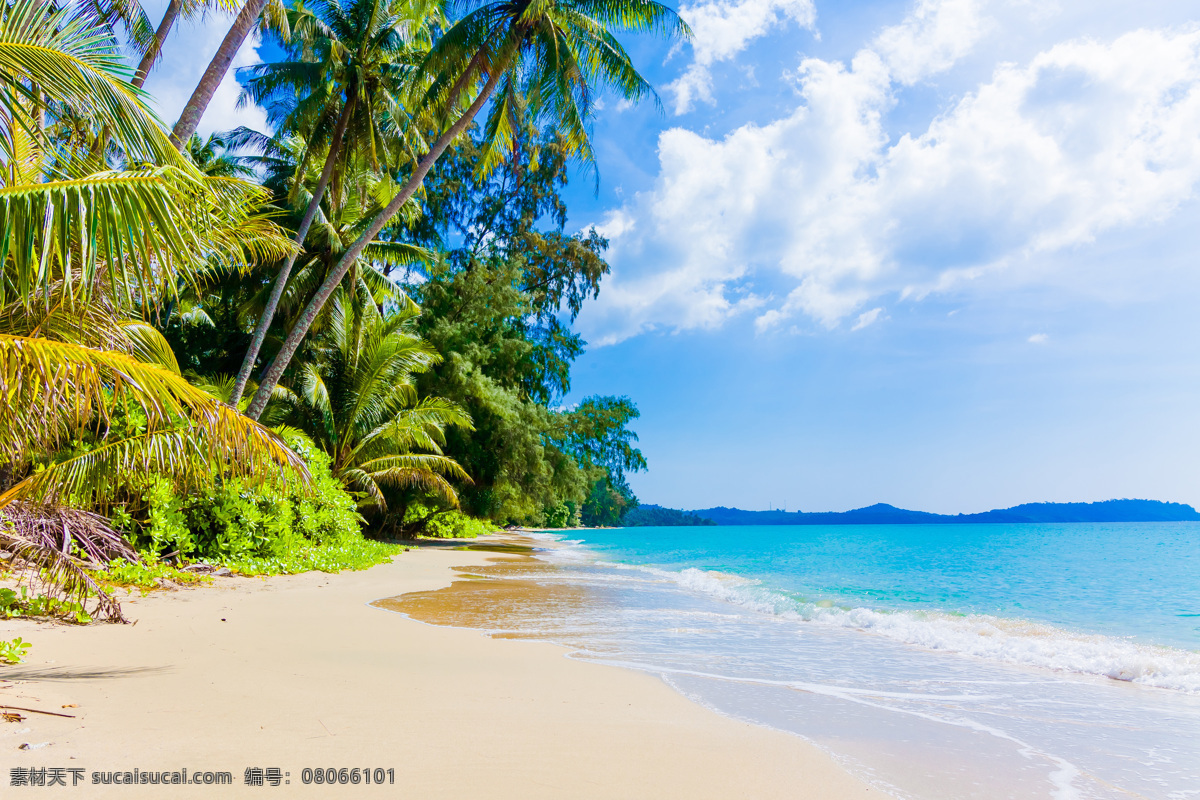 美丽 海洋 椰子树 大海 海浪 蓝天 白云 阳光 沙滩 自然风光 海洋海边 大海图片 风景图片