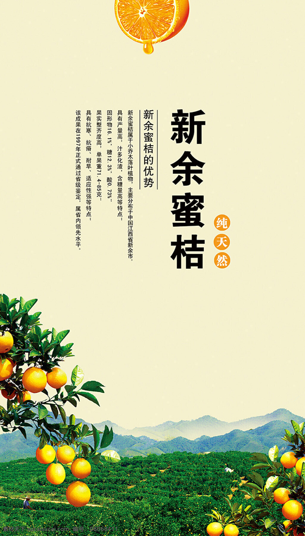 水果海报素材 水果海报 海报素材 海报 水果 蜜桔 桔子 白色