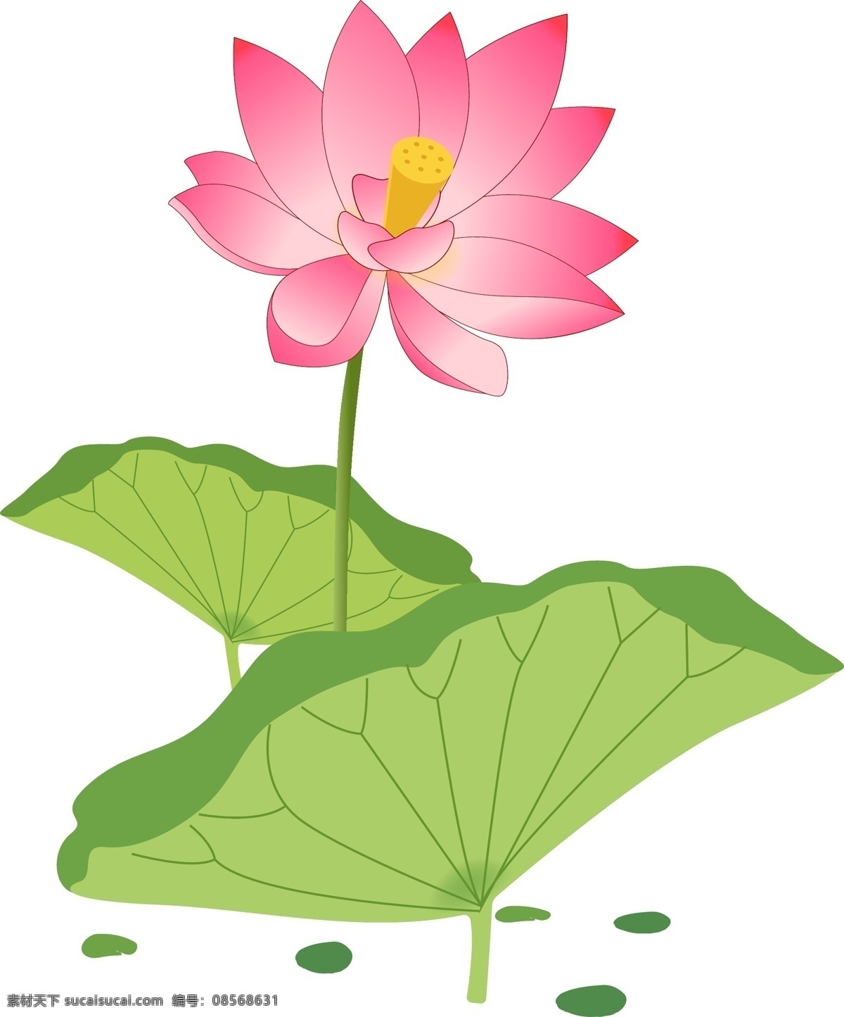 开放 粉色 荷花 插画 意境荷花 荷花摄影 池塘 粉色莲花 粉色荷花 荷 荷塘 高清荷花 祥云 传统莲花 荷花图 荷花池 荷韵 莲 高清莲花 唯美荷花 手绘莲花 卡通莲花 复古莲花 水滴 莲花插画 莲花白描 莲花线描 莲花线条 莲花线稿 莲台 莲花台 动漫动画