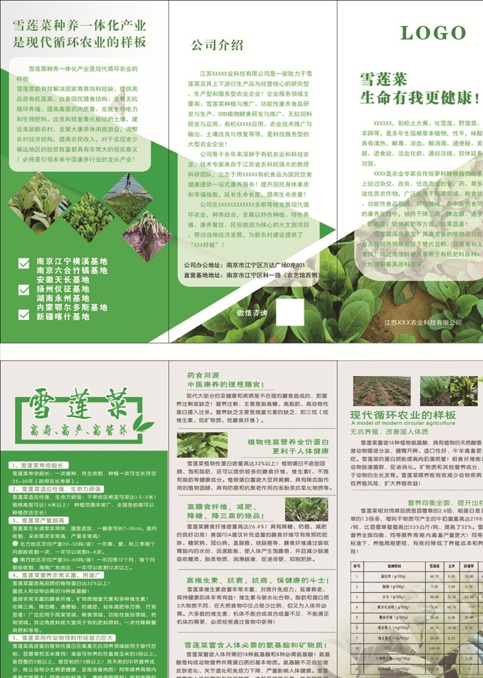 绿色 三折页图片 折页 三折页 dw三折页 企业三折页 创意 绿色健康 雪莲菜 雪莲 青菜 阳谷 植物 绿色折页 三折页欣赏 折页模板 三折页素材 三折页宣传单 三折页设计 时尚折页 公司三折页 创意三折页 高档三折页 招生折页 招商三折页 产品手册 传单 投资三折页 环保折页 蓝色三折页 彩页 装饰折页 农业三折页 单页 宣传单 dm宣传单