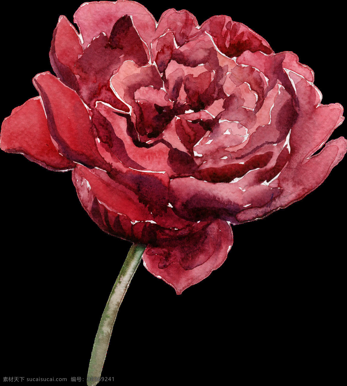 妩媚 玫瑰花 透明 红色 卡通 装饰 设计素材 装饰素材