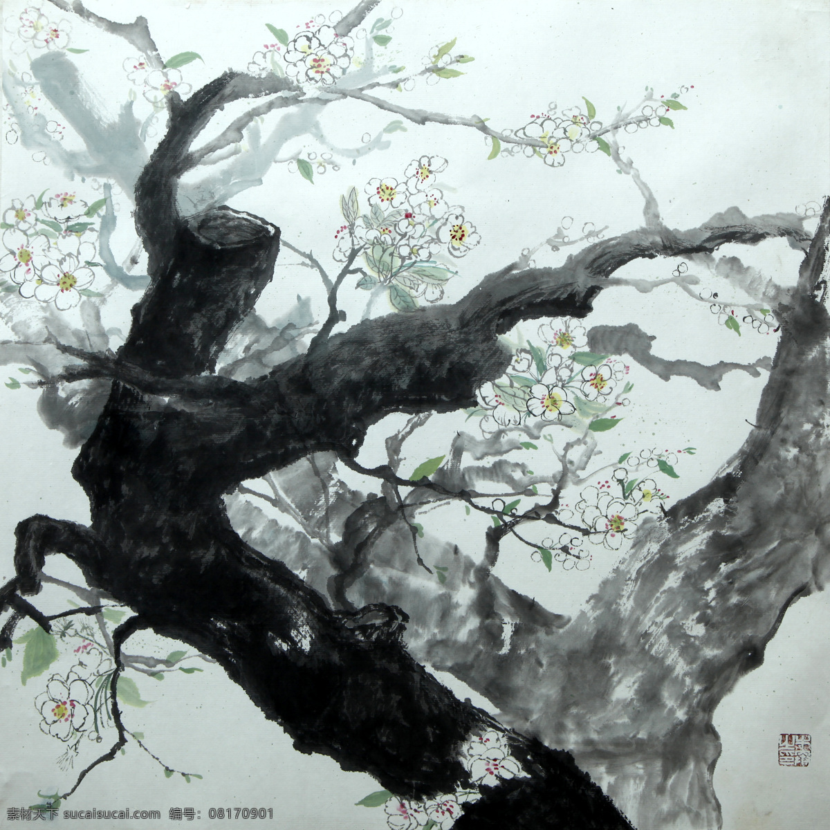梨花中国画 60厘米 牛奔 设计素材 花鸟画篇 中国画篇 书画美术 灰色