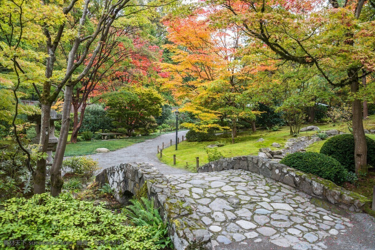 园林 花园 公园 树木 花草 小路 石板路 美景 小径 自然景观 自然风景