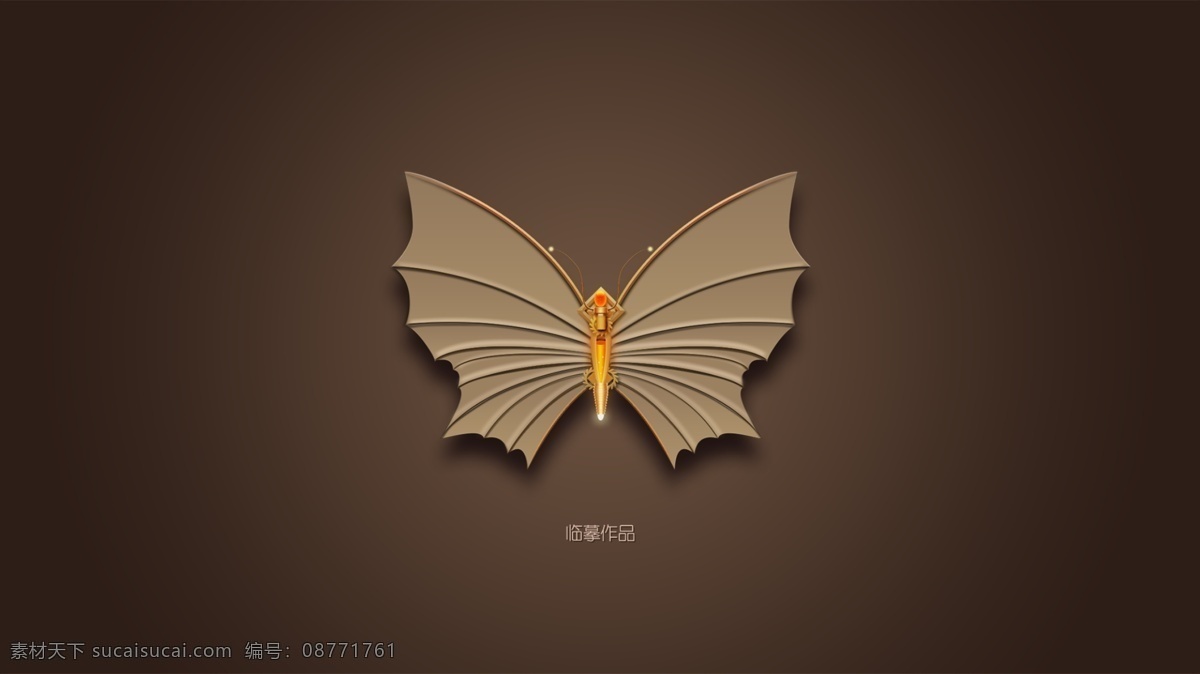 漂亮的蝴蝶 临摹 蝴蝶 细节临摹 学习 练习 黑色