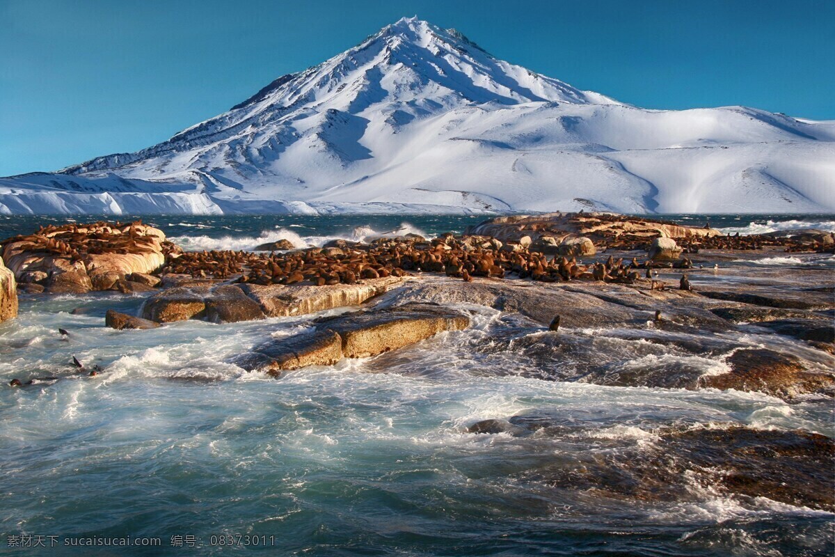 南极 北极 大海 冰山 自然景观 自然风景 自然风光 大自然风光 大自然 南极图片 北极图片 冰川 冰川图片 冰山图片 冰雪 冰雪图片 大海图片 海洋 海洋图片 海水 海水图片 波浪 波浪图片 植物 风光