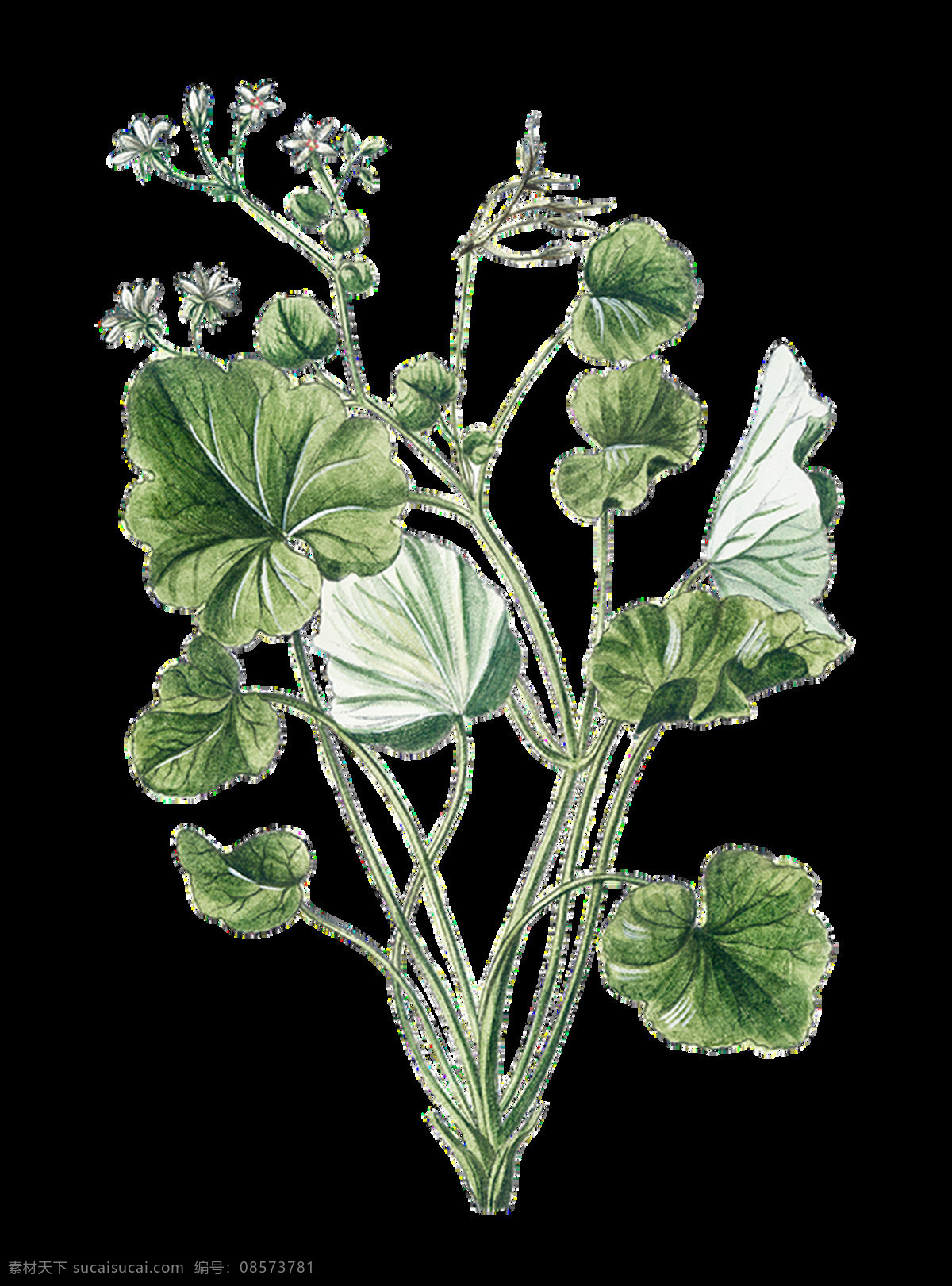 叶子 免抠素材图片 模版 唯美 花 logo ins风 仙人掌 热带 植物 图标 贴纸 边框 花边 水彩 背景 装饰画 小清新 手绘 墙画背景 展板 画册 招贴 海报 抽象画 挂画 北欧 组合画 现代简约 高清图片 创意 免抠 广告 包装 底纹边框 相框 生物世界 花草