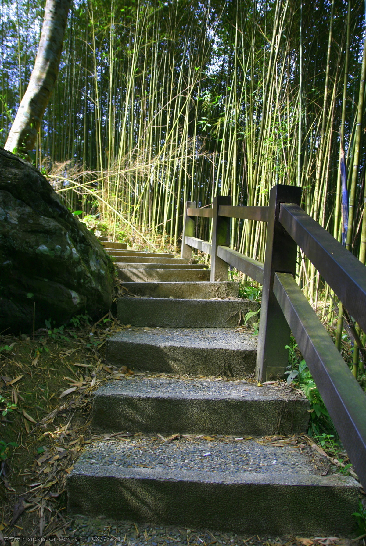 竹林階梯 南庄 竹林 阶梯 台阶 国内旅游 旅游摄影