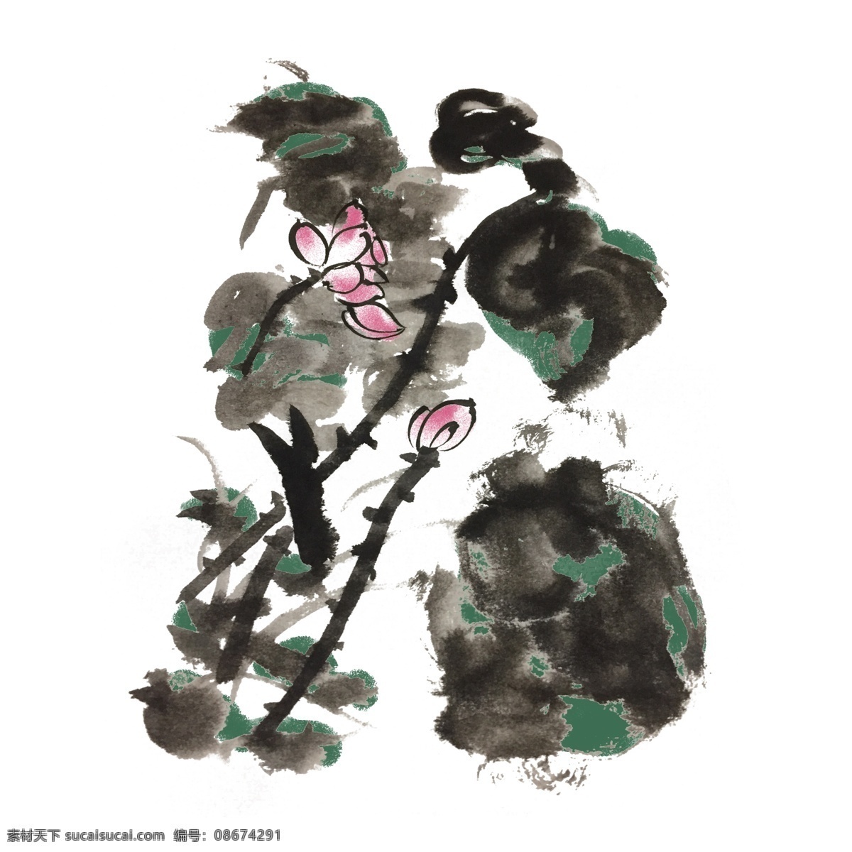 水墨 风 中国 芙蓉 手绘 插画 夏季 夏天 荷花 荷叶 出水芙蓉 中国风 古风 水墨风 墨迹 彩色 春天 生动 花草 国风