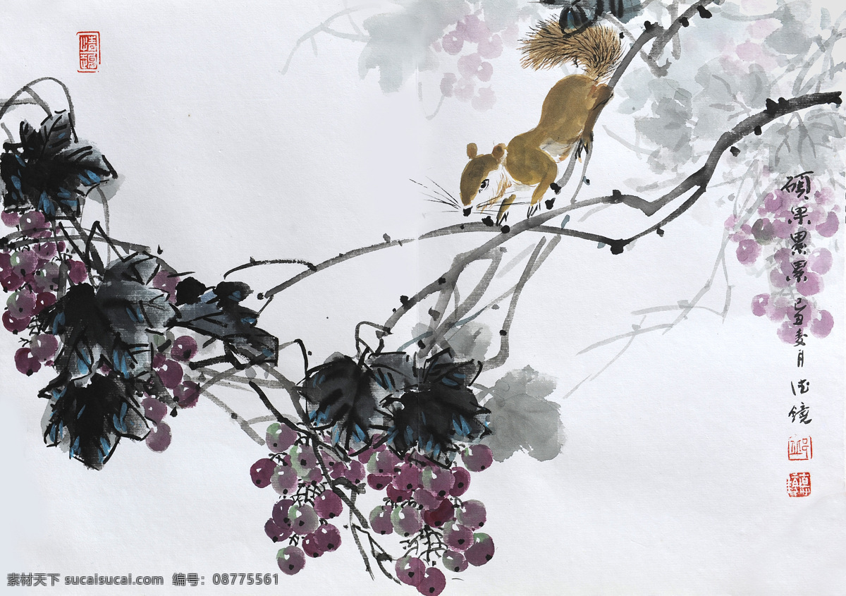 葡萄松鼠 邱德镜 松鼠 葡萄 花鸟画 国画 国画作品 绘画书法 文化艺术