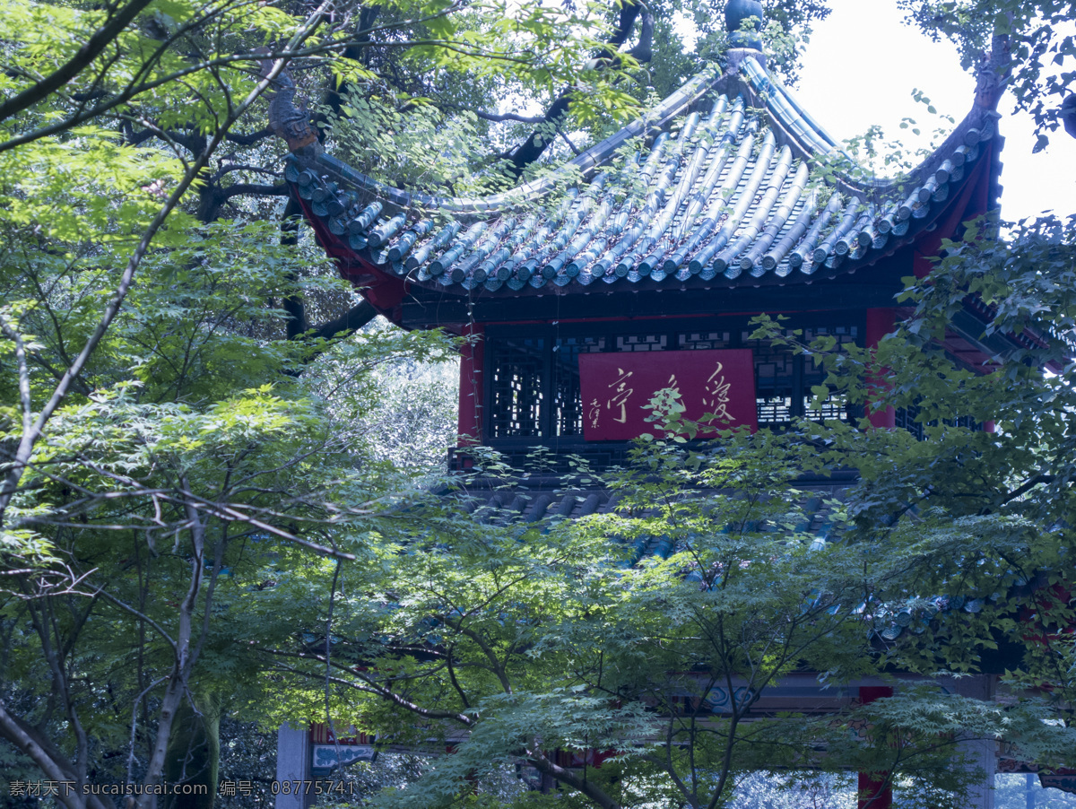 岳麓山爱晚亭 岳麓山 爱晚亭 风景图片 建筑 摄影作品 行摄图片 旅游摄影 国内旅游