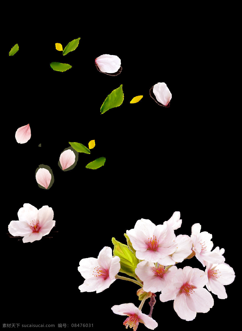 手绘 花瓣 绿叶 元素 浪漫 唯美 免抠
