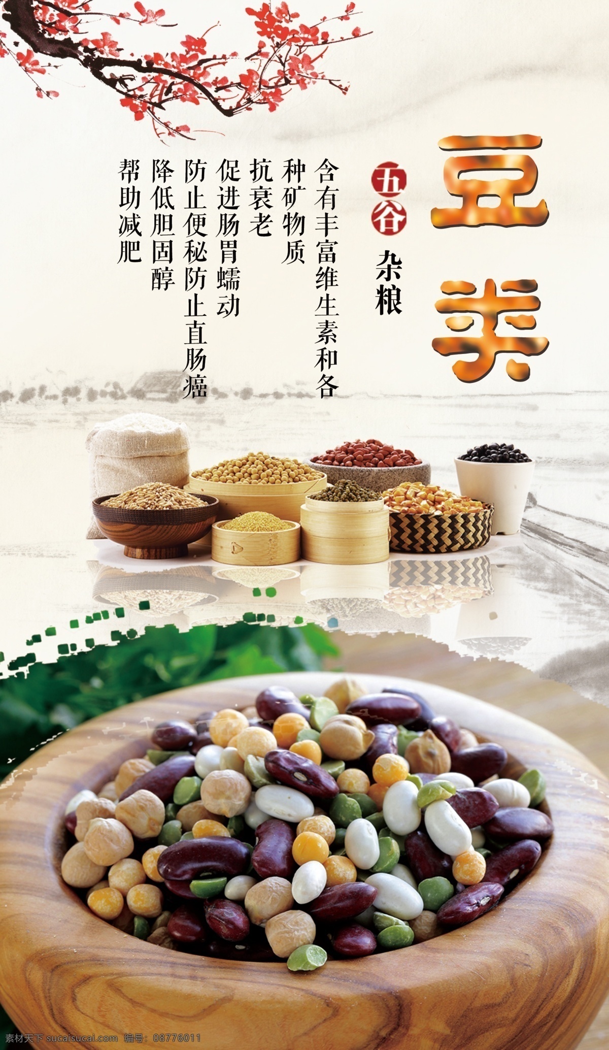 豆类 杂粮 坚果 高蛋白食物 营养均衡 营养 养生 豆浆 五谷 薏米 红豆 黄豆 黑豆 绿豆