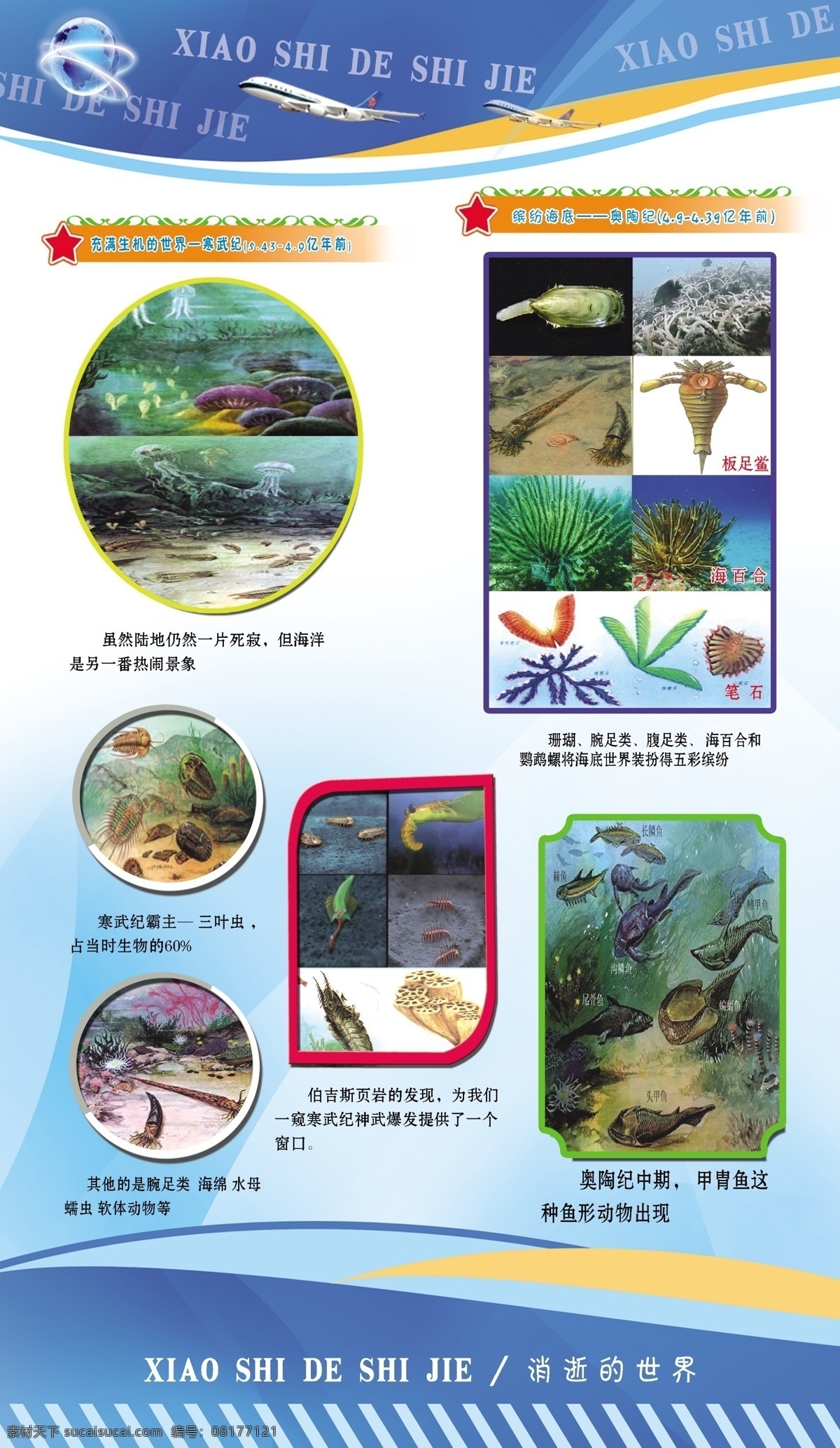 广告设计模板 海绵 水母 校园文化 源文件 展板模板 消逝 世界 模板下载 消逝的世界 科技园 三叶虫 甲胄鱼