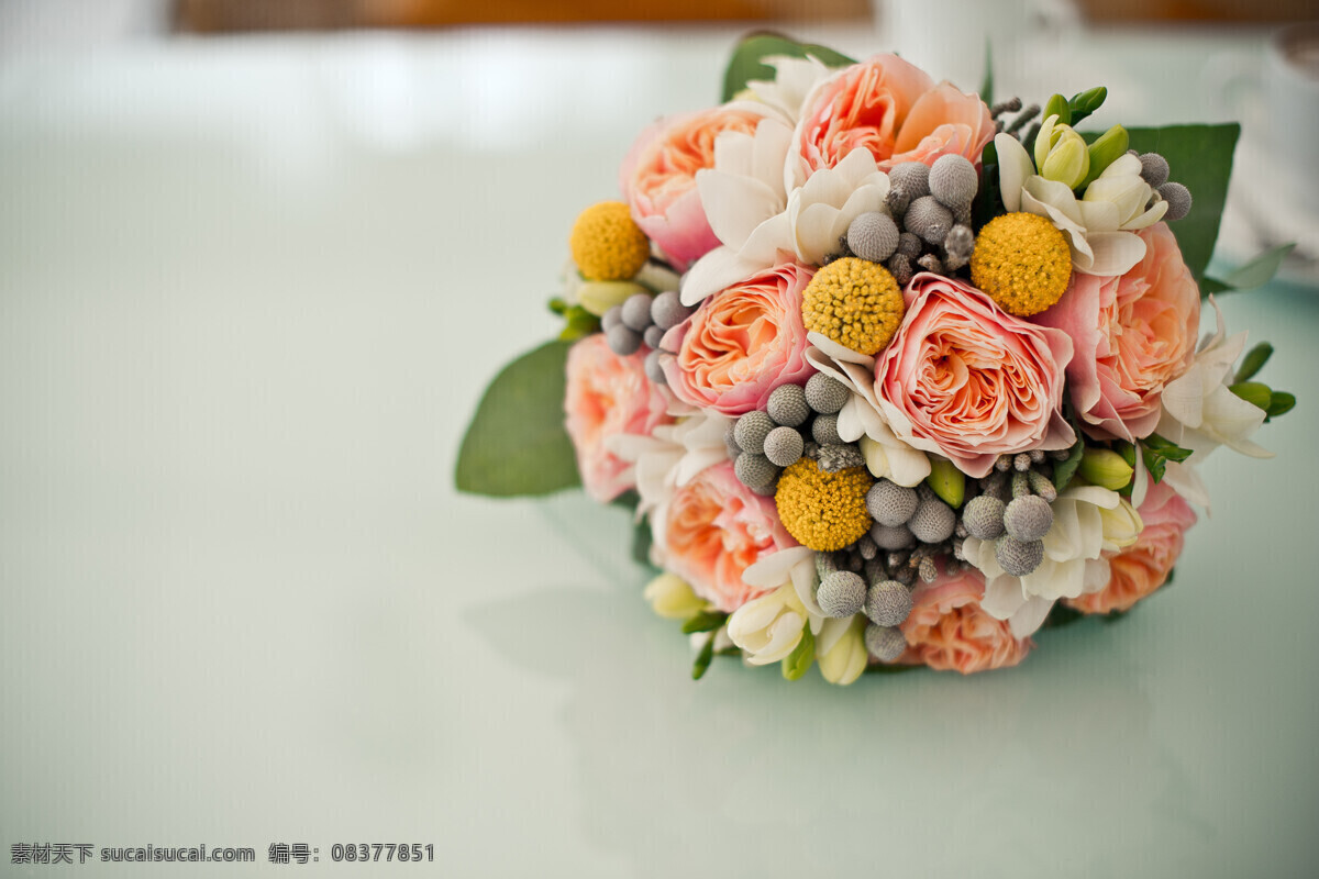 高清 鲜花 花球 花朵 花束 花卉 花