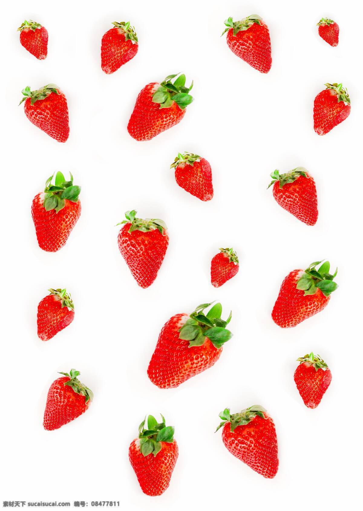 水果 有机草莓 新鲜草莓 食物 生物世界