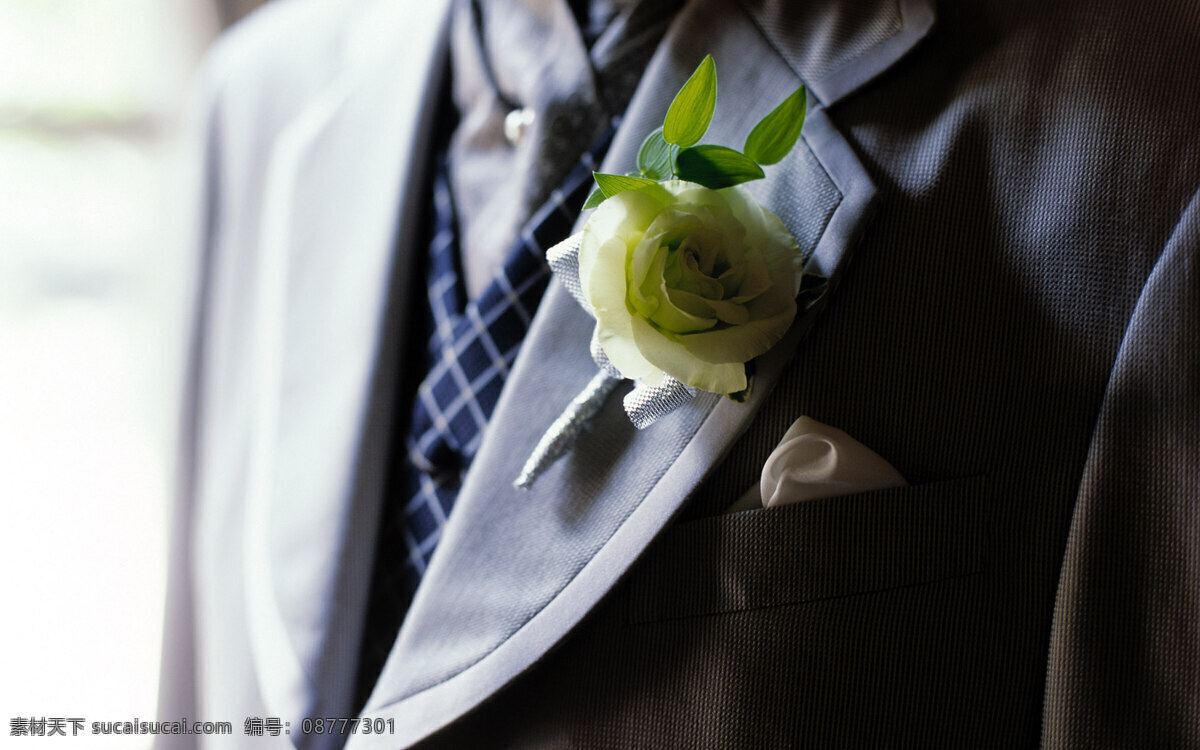 结婚礼服套装 深蓝色 摄影图 胸花 结婚深蓝色 礼服套装 生活百科 图片库 风景 生活 旅游餐饮