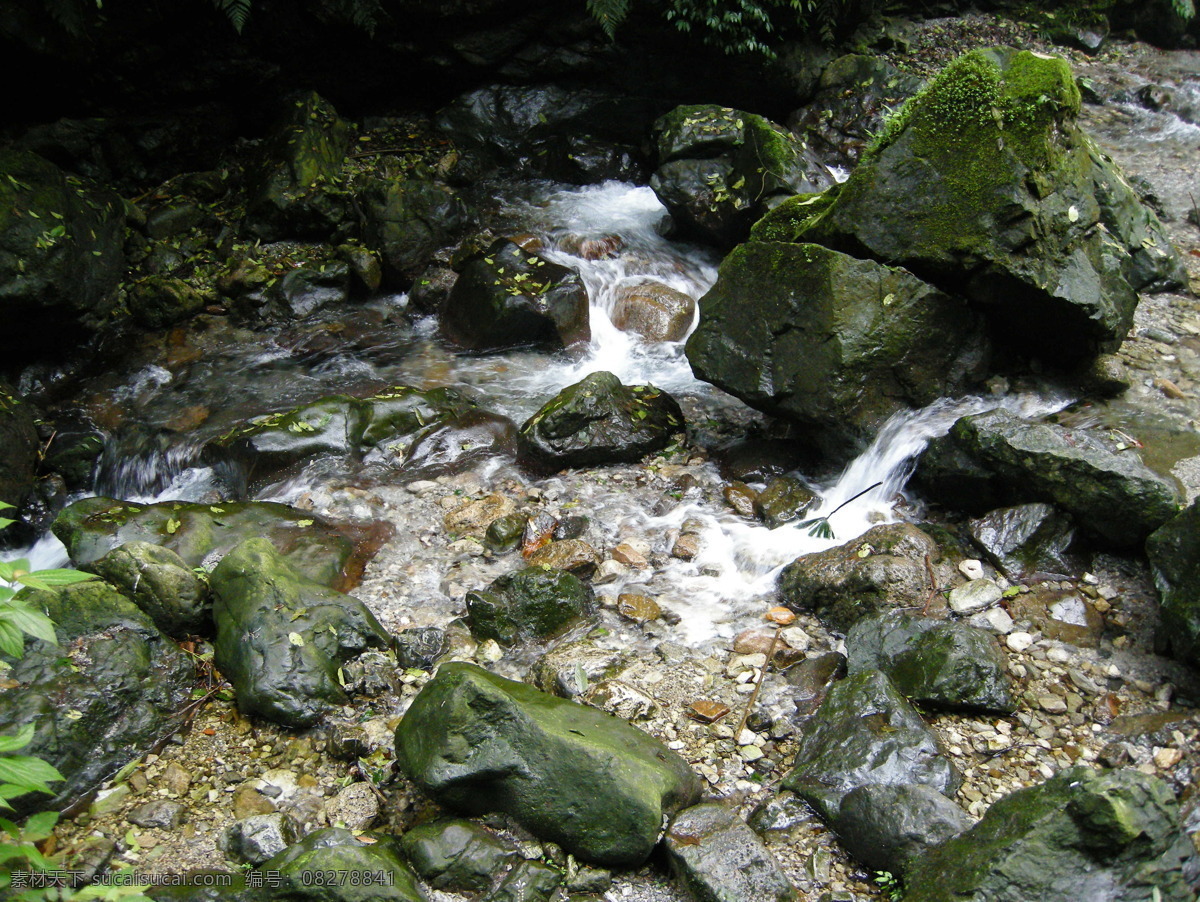 山涧小溪 小溪 自然风景 自然景观