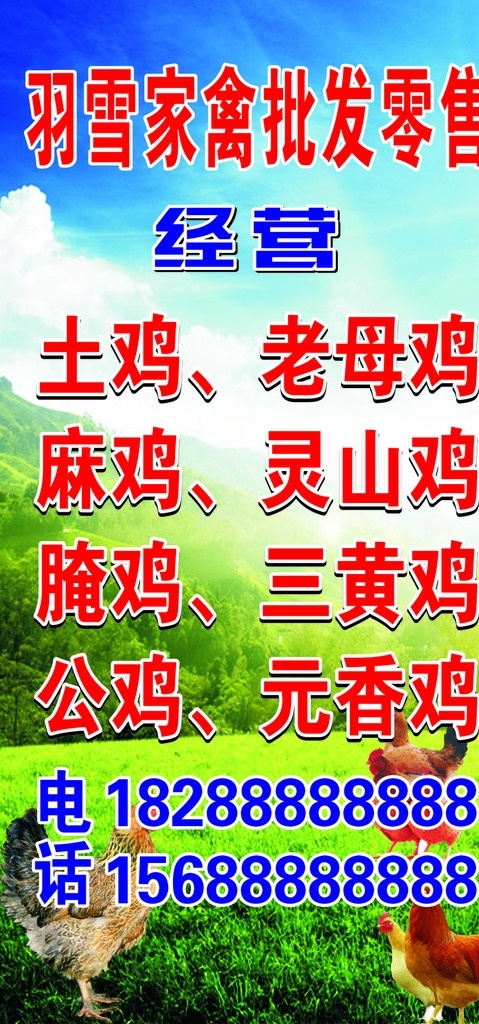 家禽批发零售 店招 灯箱 家禽 批发 零售 家禽批发