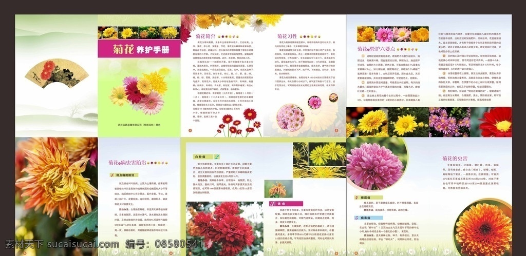 菊花种植手册 菊花 种植 手册 32k 样本 画册 平面设计 菊花种植问题