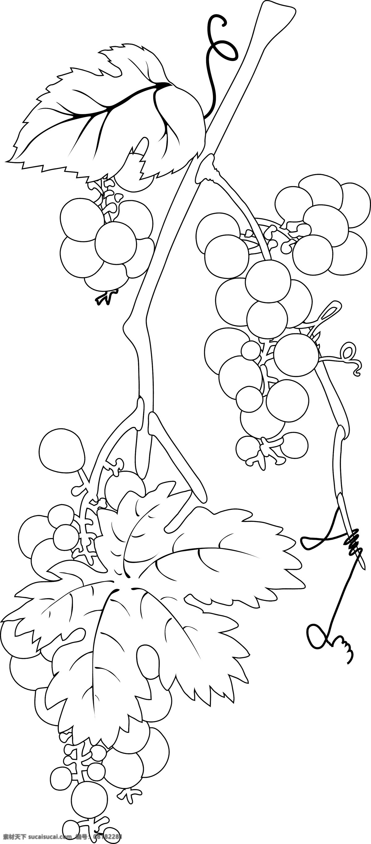 葡萄 葡萄矢量素材 生物世界 矢量图库 水果 藤 线稿 葡萄模板下载 日常生活
