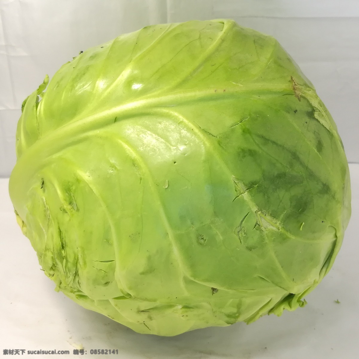 卷心菜圆白菜 蔬菜 蘑菇 食品原材料 食品 调料 佐料 香料 原材料 蔬菜图片 食品原料图片 美食 美食图片 蔬菜摄影 餐饮美食 食物原料