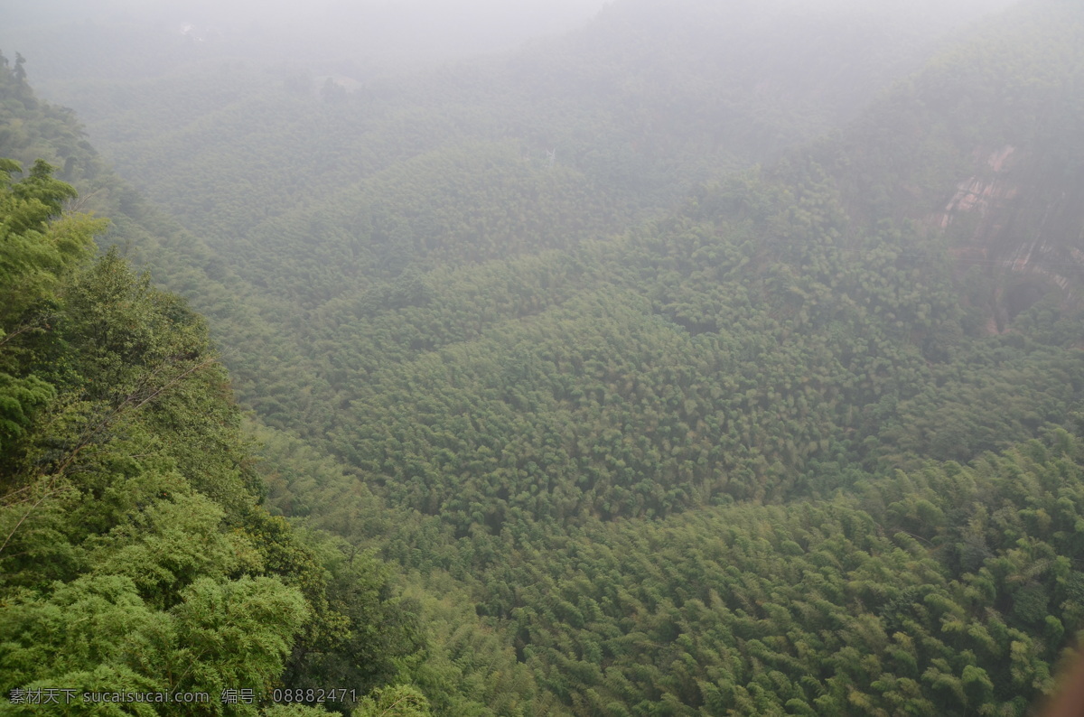 电缆 缆车 旅游摄影 绿色 山林 树木 植物 茂密的树林 绿林 山头 竹海 宜宾 竹林 自然风景 矢量图 日常生活