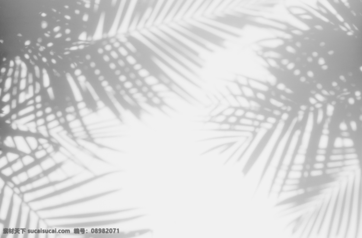现代 简约 树叶 剪影 灰色 系 背景 图案 现代简约 灰色系背景 灰色系