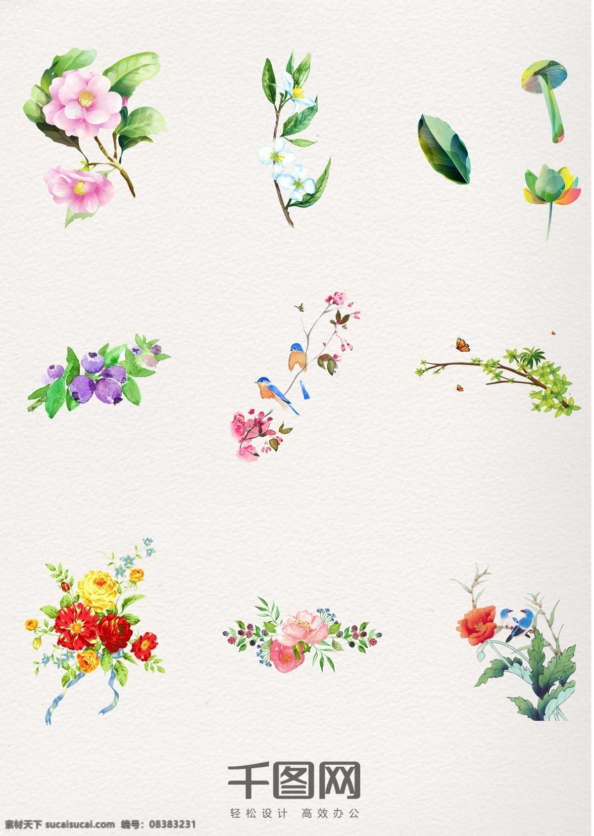 美丽 水彩 花卉 花环 装饰 绿叶 树枝 花环元素