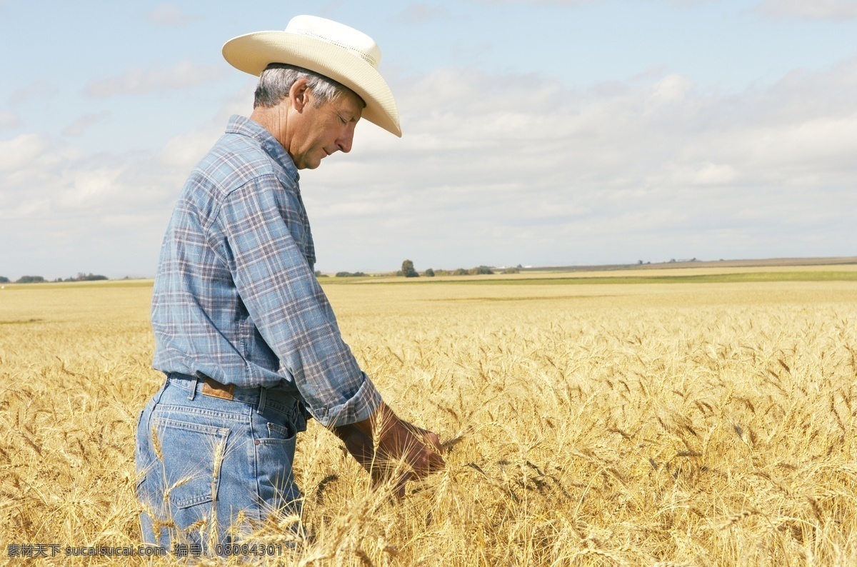 看 庄稼 男人 农业 麦地 小麦 麦子 麦田 人物 人物素材 人物摄影 国外人物 生活人物 人物图片