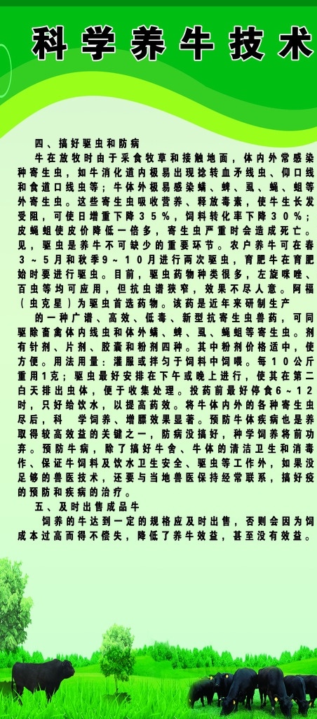 科学养牛 养牛 宣传 科学 牛 展板 草地 背景