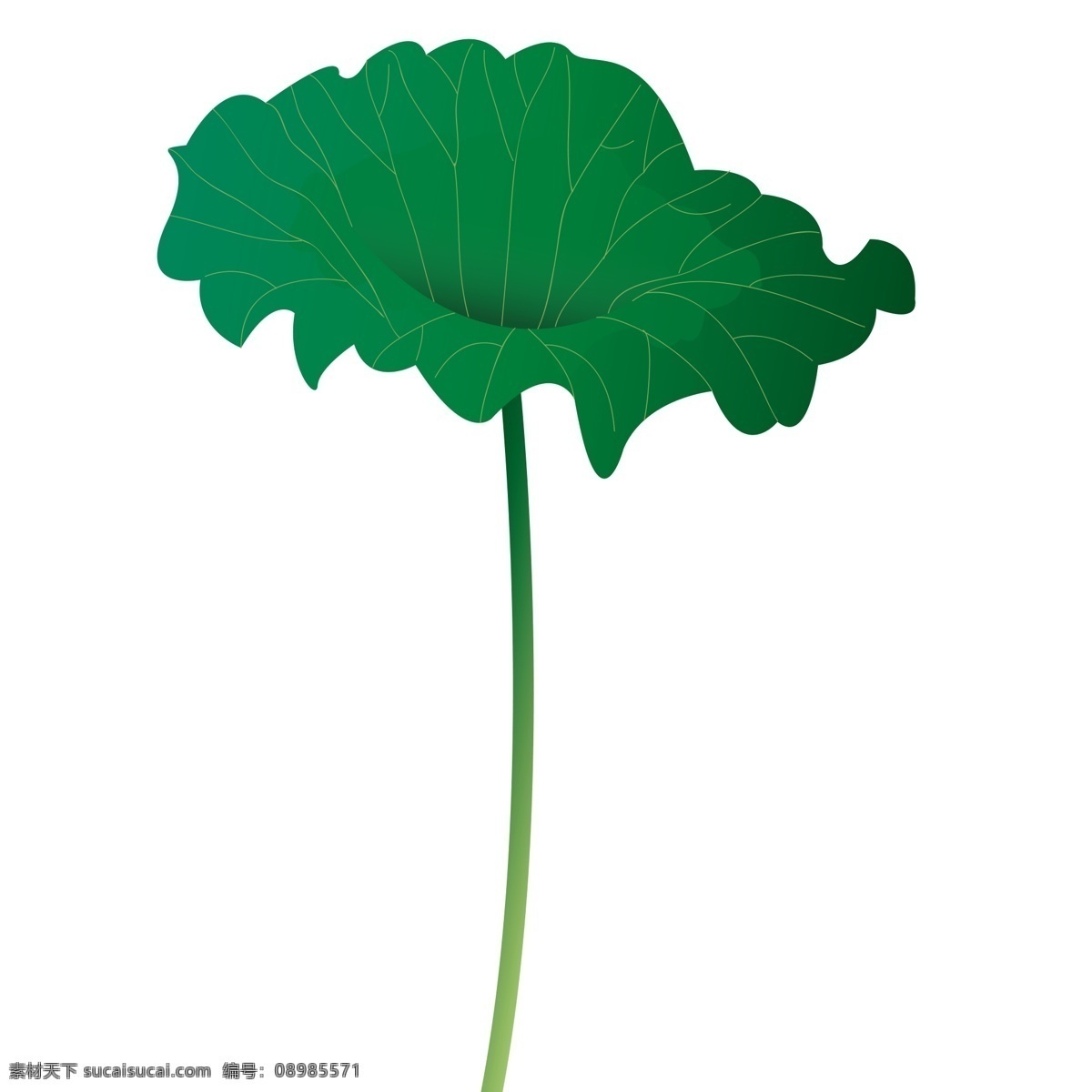 自然 绿色 荷叶 装饰 元素 装饰元素 荷花 植物 手绘 荷塘 树叶 简约