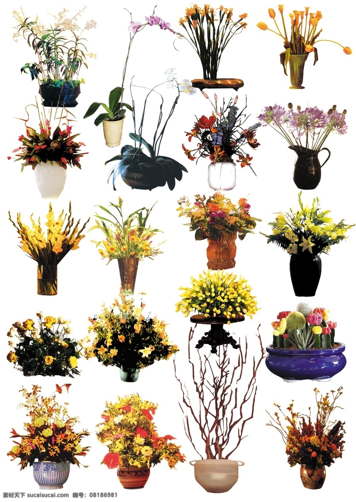室内 盆栽 盆花 集合 花束 花 花瓣 分层 源文件 缤纷花开