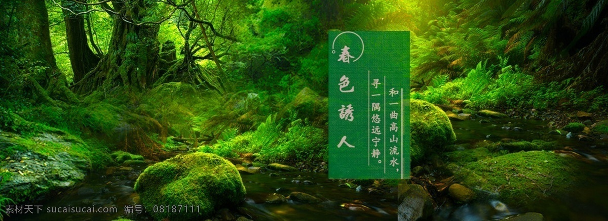 淘宝网 春季 女装 海报 psd源文件 唯美 促销 活动 夏日 淘宝 banner 绿森林 黑色