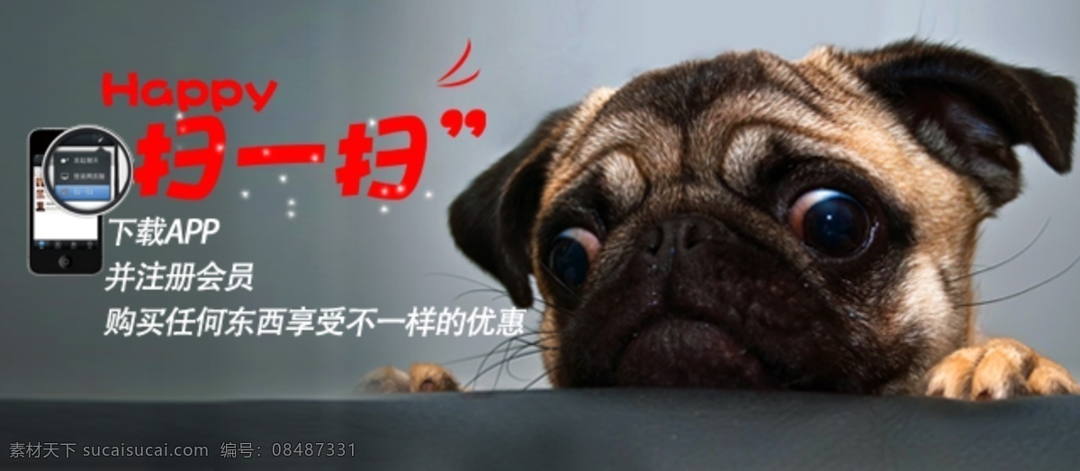 小狗app 小狗 app 泰迪 扫一扫 手机 分层