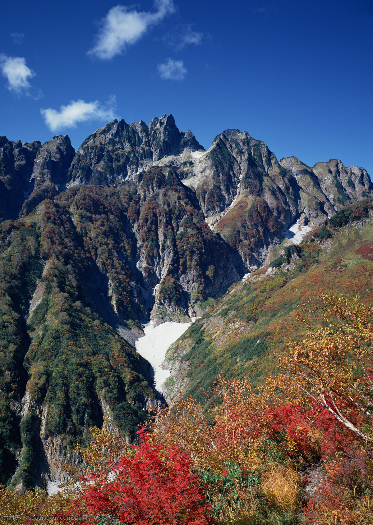 晨雾 村庄 风景 风景背景 风景画 河流 湖泊 湖景 湖面 湖畔 山 山水风景 山峰 山水背景 山水风光 山坡 绿色背景 绿叶 绿草地 绿树 树木 树木大树 山林 森林 森林风景 森林公园 森林背景 景色 山景 秋天风景 自然风景 自然风光 自然景色 雾气 雾中的山 梯田 湖水风景 蓝天白云 花纹背景 花瓣 花草 花卉 花藤 蓝天草地 蓝天大海 野外 野外风景 夕阳风景 溪水 山脉 家居装饰素材 山水风景画