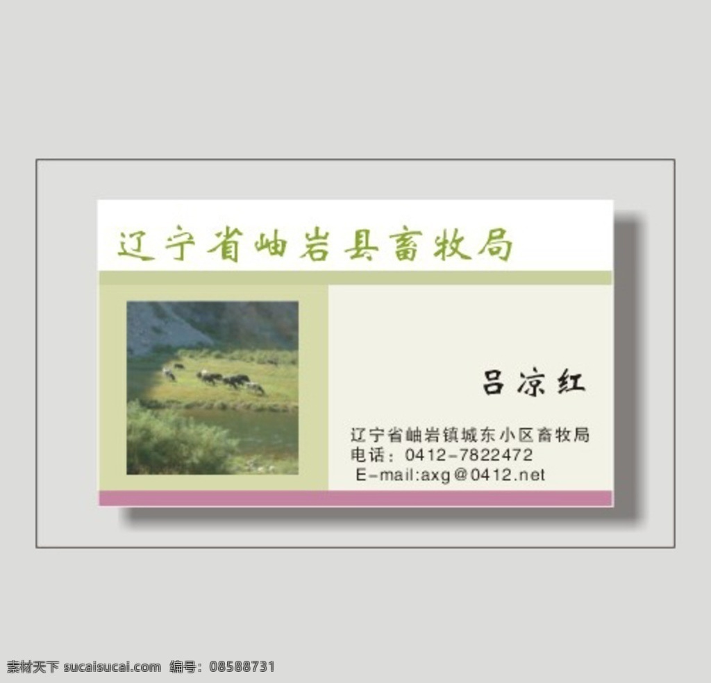 农业 养殖 名片 模板 农业名片 绿叶名片 环保名片 绿树名片 绿色名片 养殖名片 肥料名片 化工名片 化学名片 畜牧名片 养鸡场名片 林业名片 水产名片 养牛场名片 高档名片 公司名片 尊贵名片 奢华名片 个性名片 经典名片 创意名片 广告名片 商业名片 时尚名片 精品名片 精致名片 潮流名片 名片卡片
