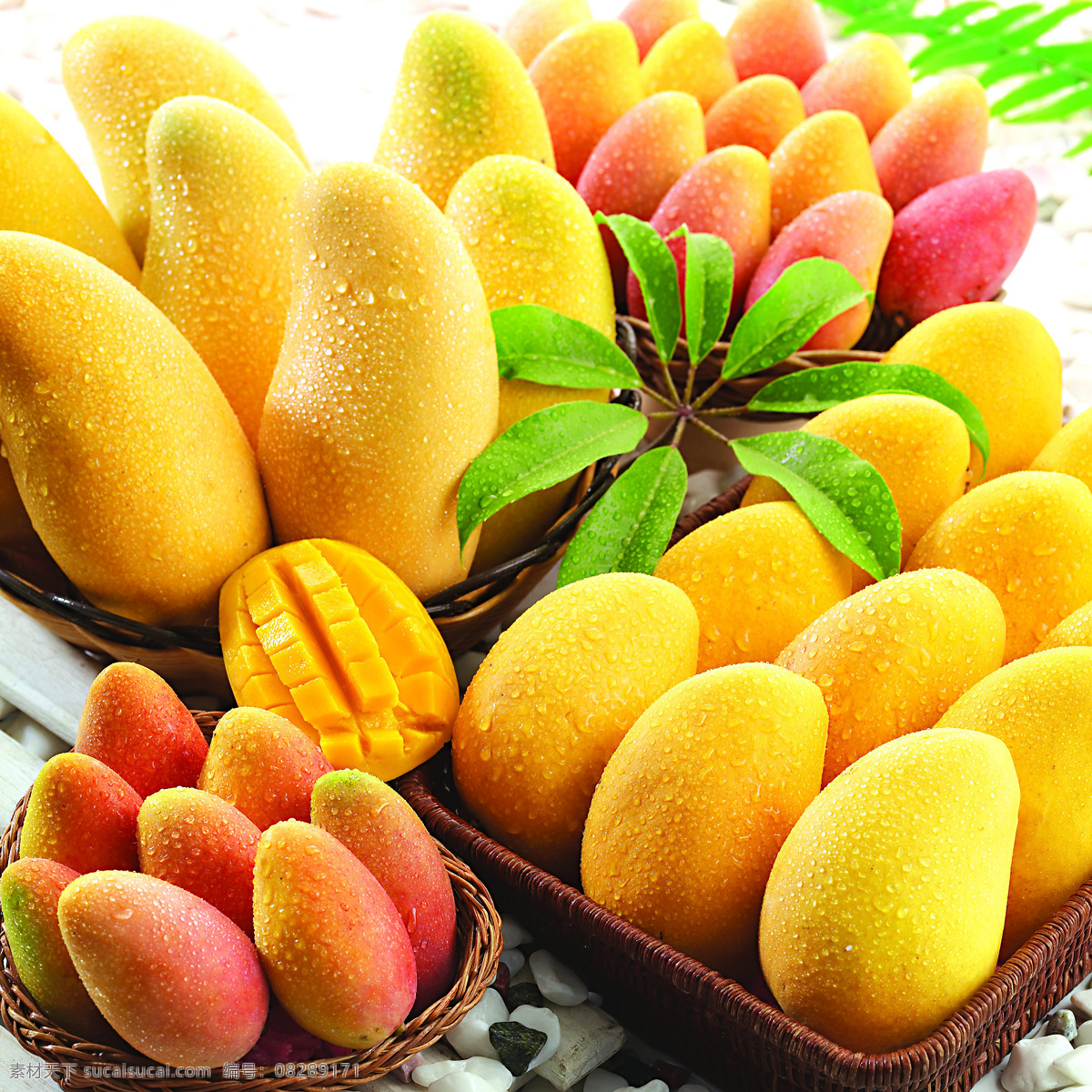 多汁芒果水果 美味芒果 进口芒果 多汁芒果 水果 芒果 黄色芒果 红色芒果 生物世界