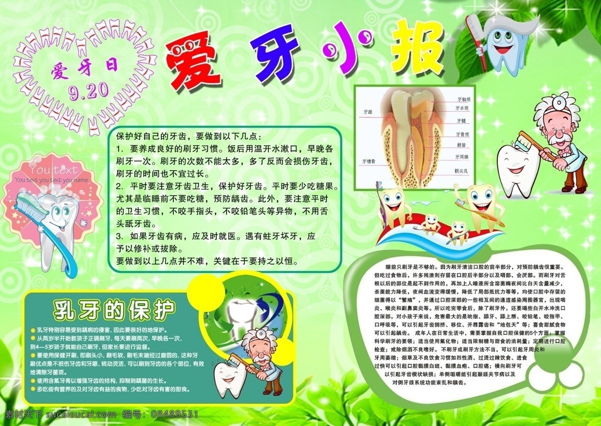 爱牙小报 牙齿图片 爱牙知识 保护牙齿 小报 学生小报