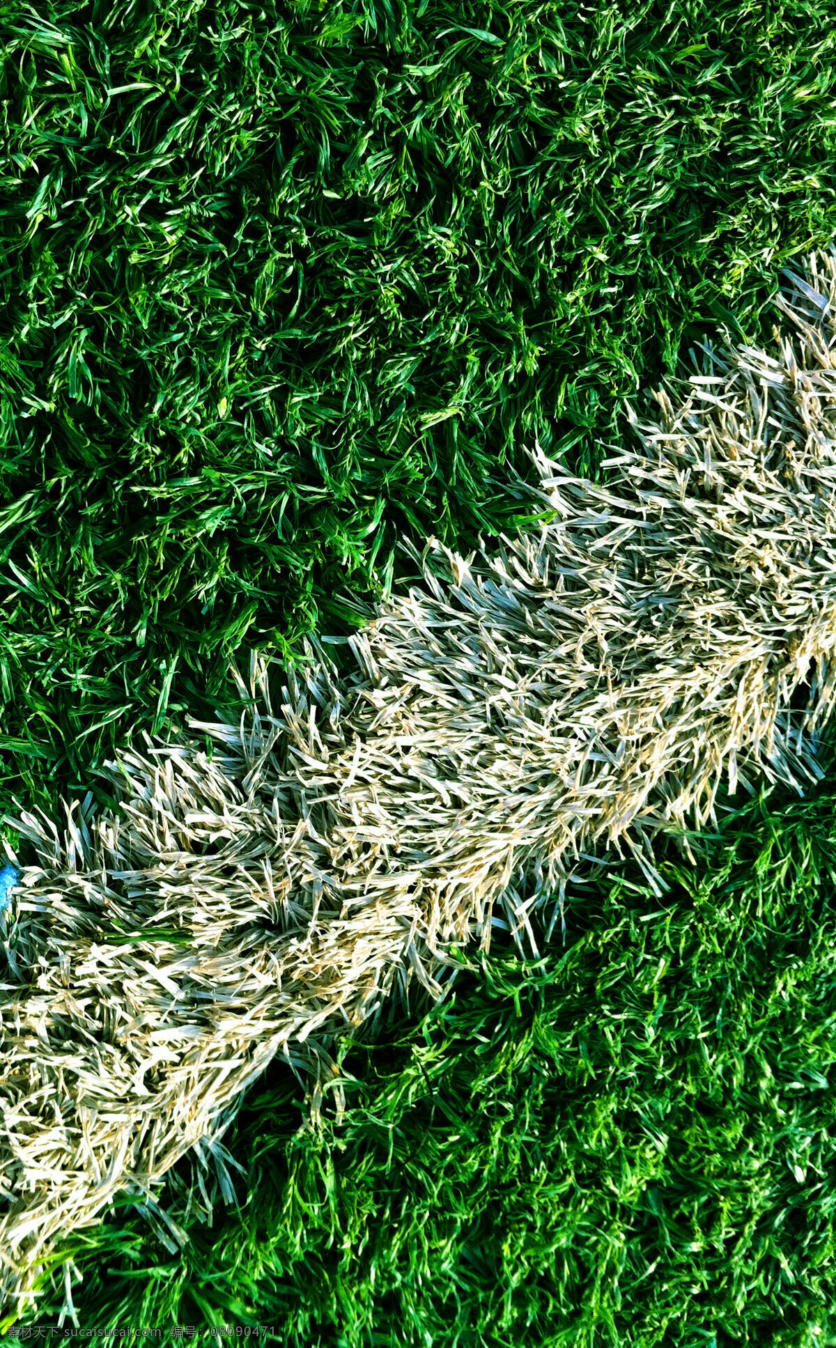 草皮 自然风景 自然景观 足球场草皮 人造草皮 体育场地草皮 矢量图 日常生活