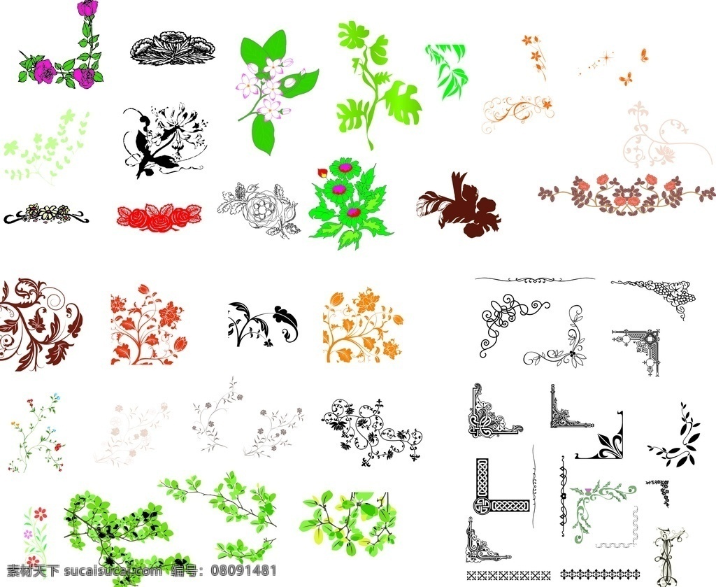 花草矢量图 花矢量图 边框矢量图 雕刻花边 树叶矢量图 dm宣传单