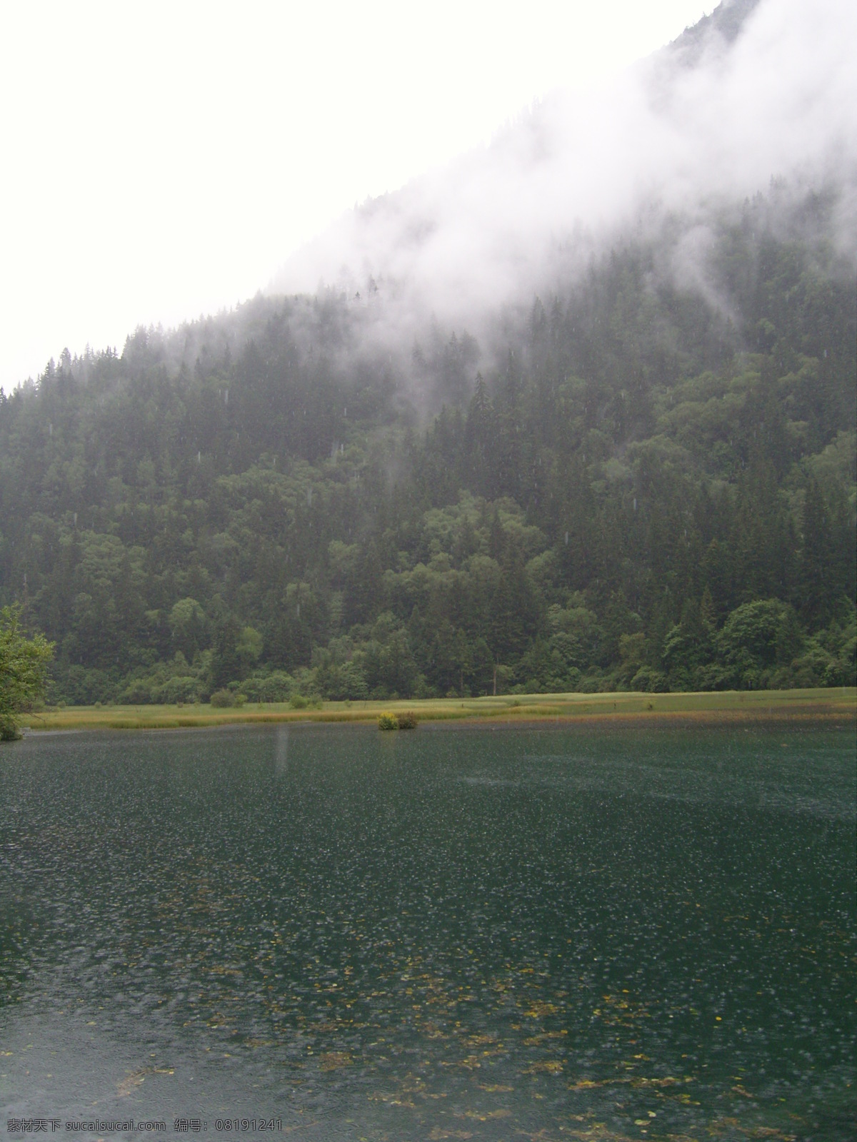 九寨 风光 湖面 九寨沟 树木 远山 云雾 九寨风光 海子 风景 生活 旅游餐饮