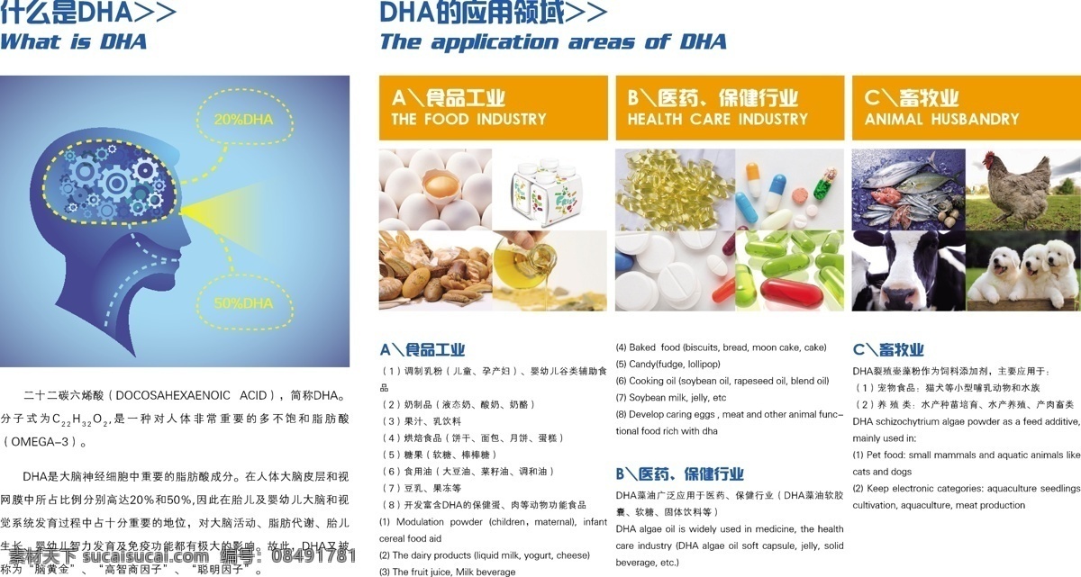 dha 及其 应用 大脑 健康 智力 原创设计 原创展板